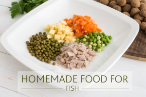 What is the best homemade food for fish